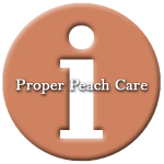 peach-care